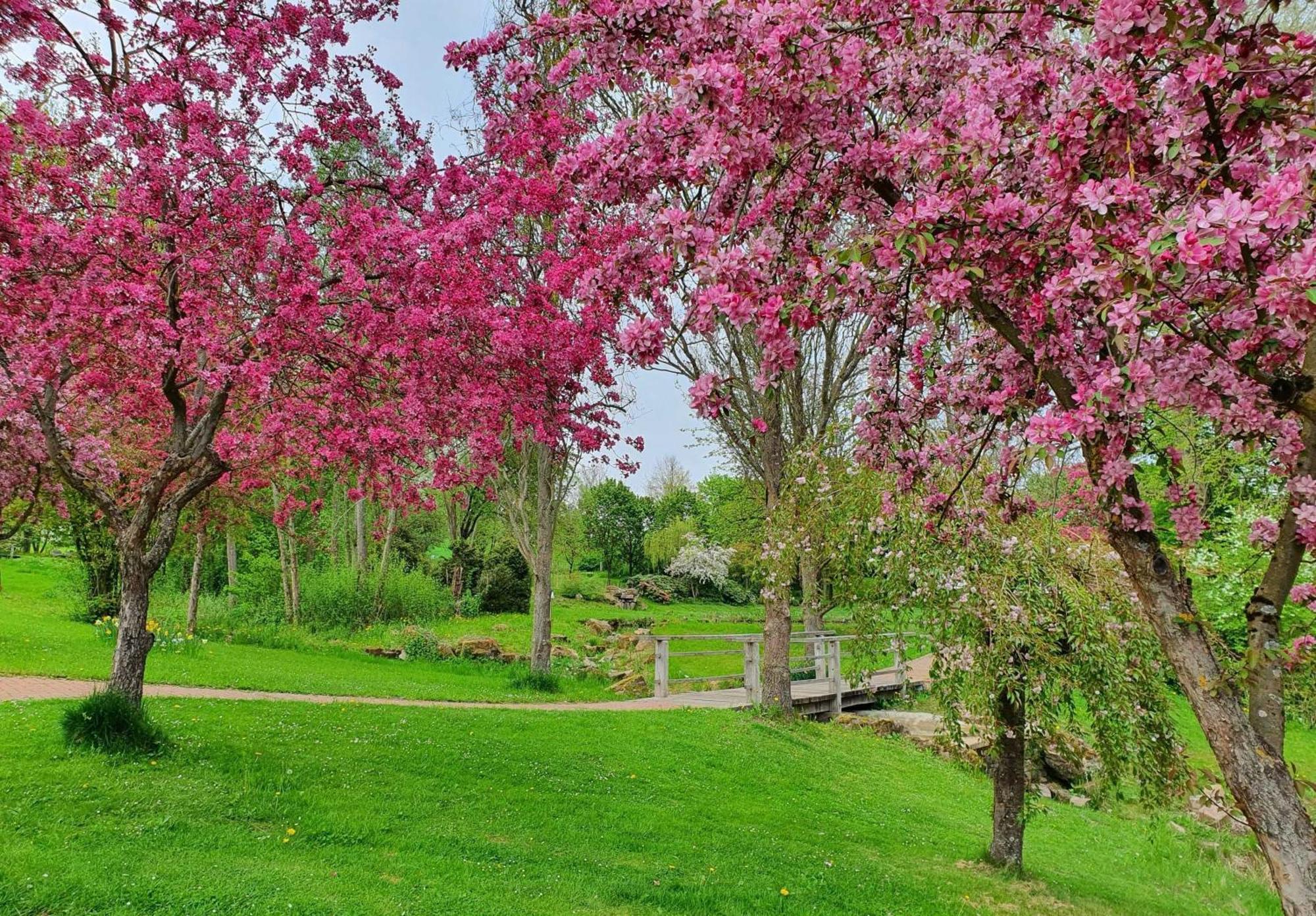 شقة Kleinod Am Kurpark باد سفيستِن المظهر الخارجي الصورة